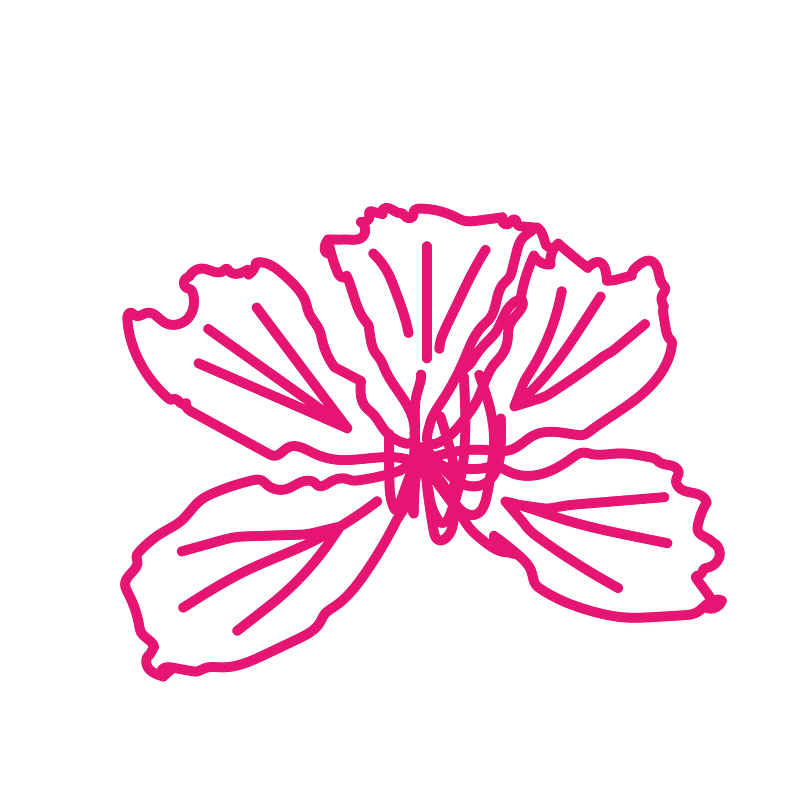 Bauhinia blakeana mark pink