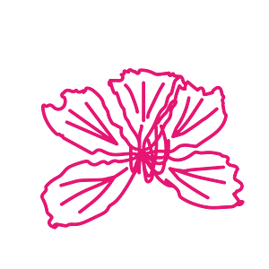 Bauhinia blakeana mark pink