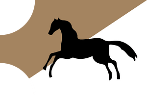 Tunis Hafsid flag