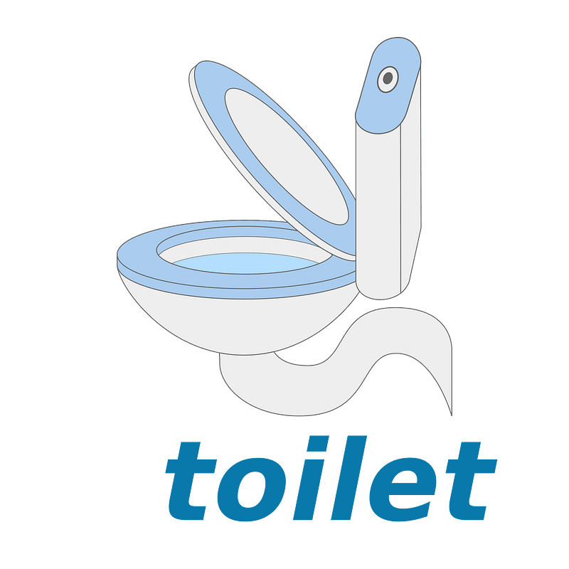 WikiVoc-toilet