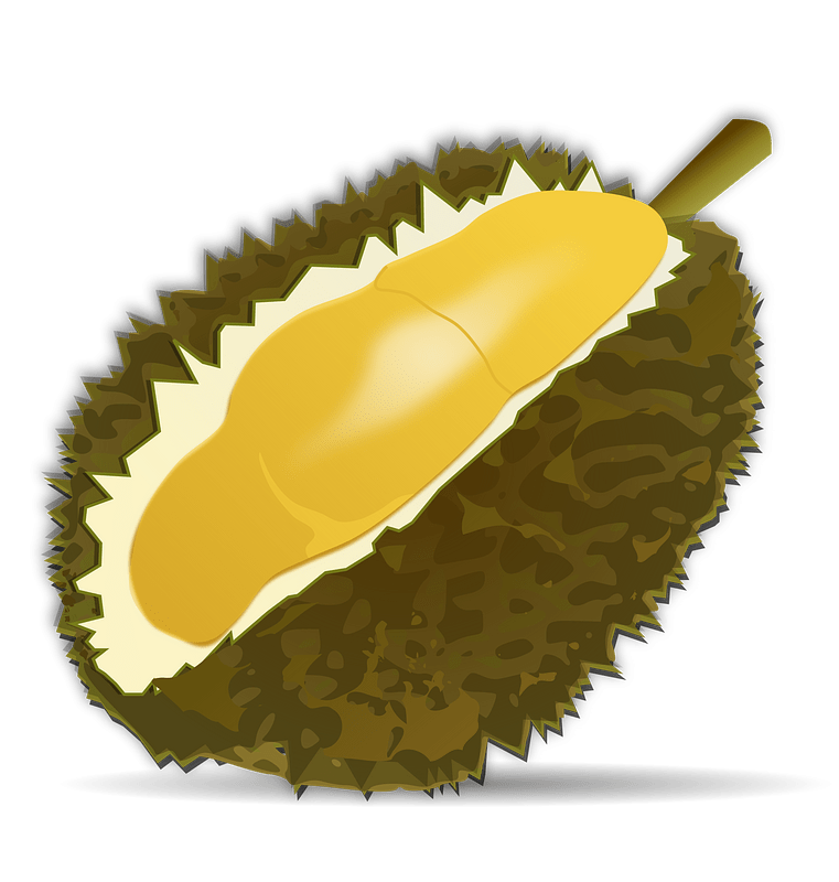 榴梿