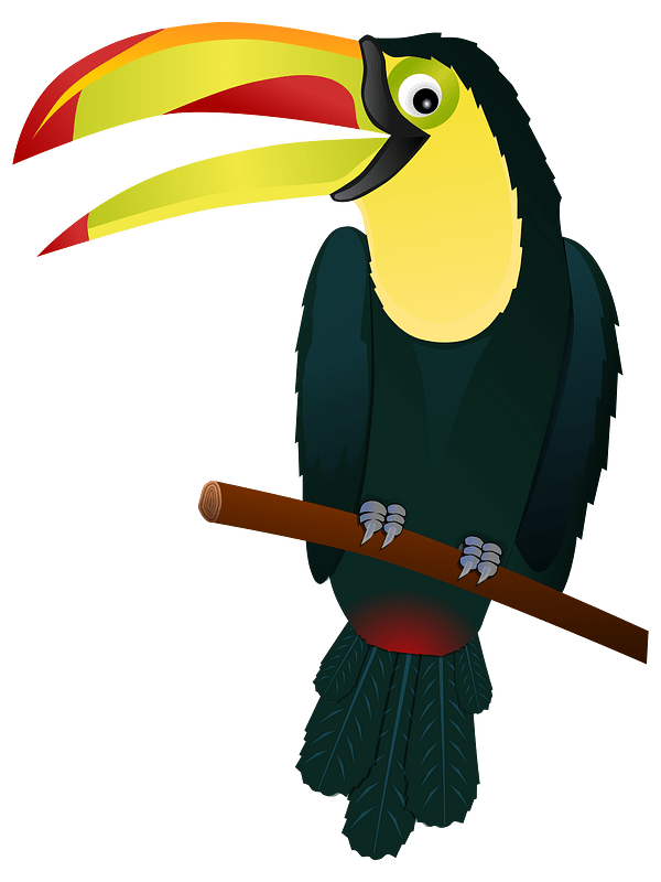 Toucan by gnokii