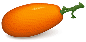 Persimmon