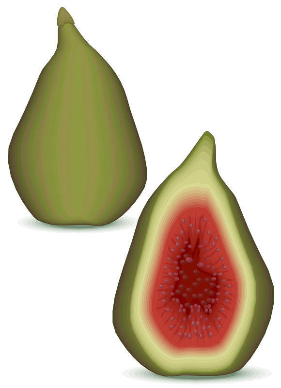 Figs