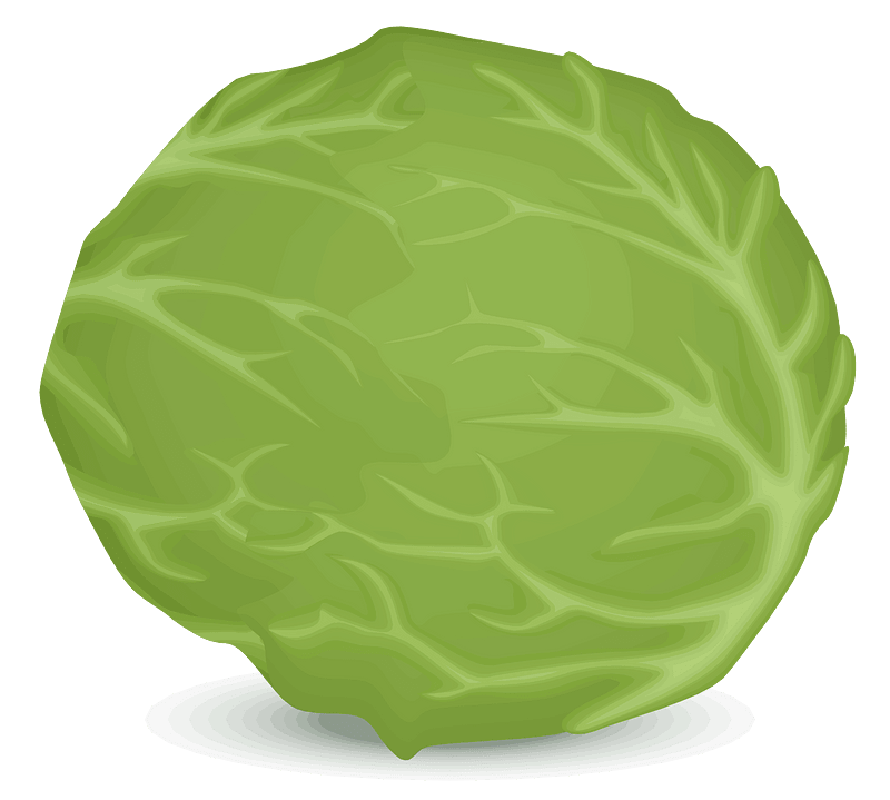 Iceberg lettuce
