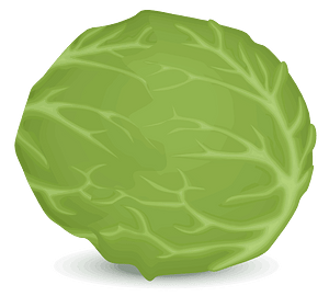 Iceberg lettuce