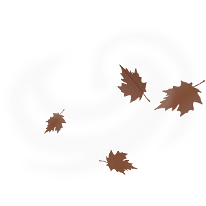 Weather icon - windy