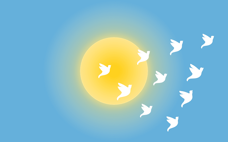 Une envolée d'oiseaux