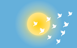 Une envolée d'oiseaux