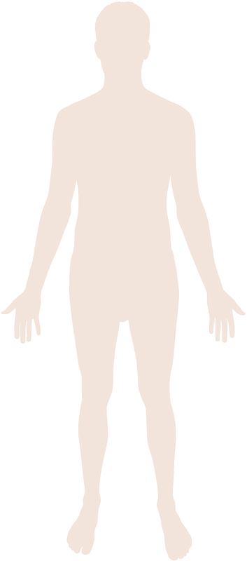 Human body silhouette