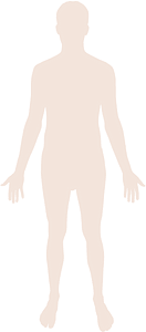 Human body silhouette