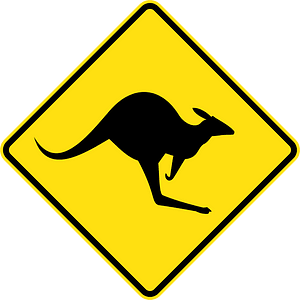 (W5-29) Kangaroos