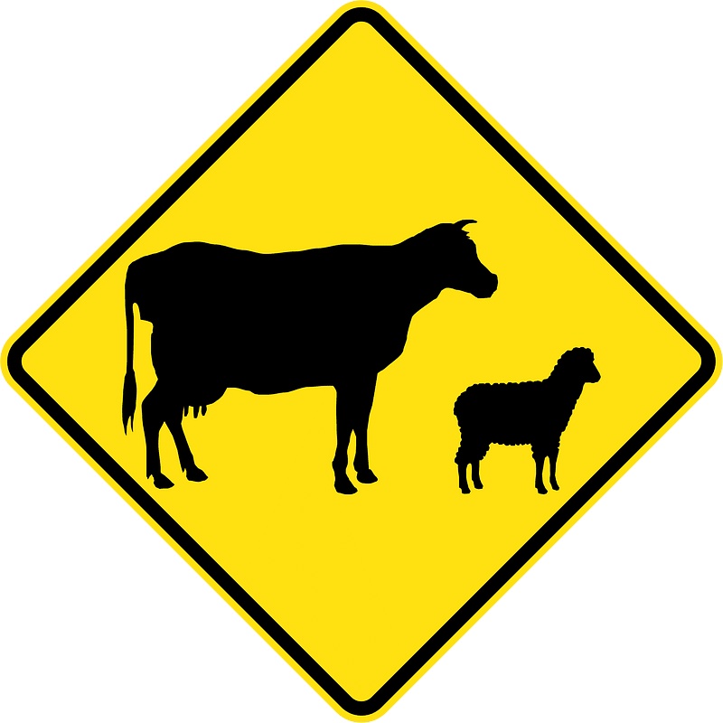 (W5-38) Stock Crossing