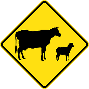 (W5-38) Stock Crossing