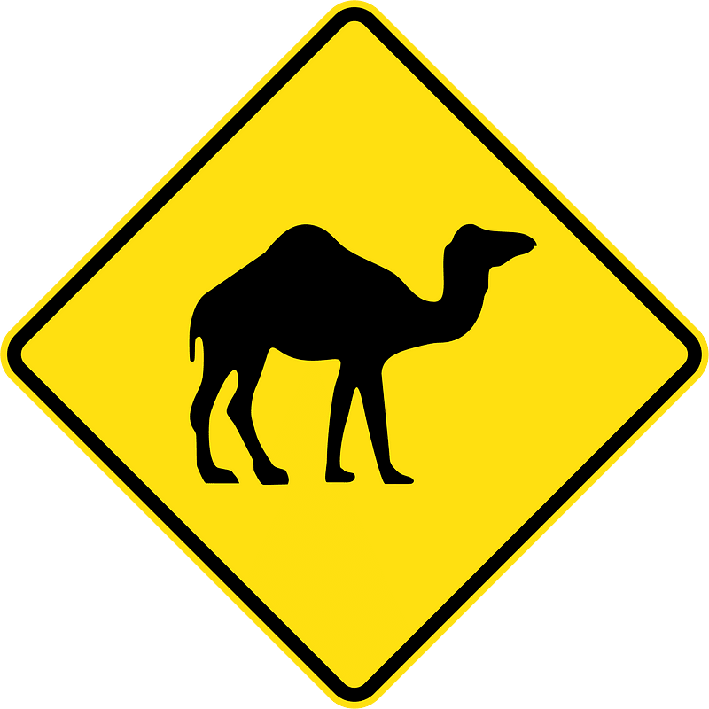 (W5-44) Camels