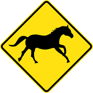 (W5-46) Brumbies (Wild Horses)
