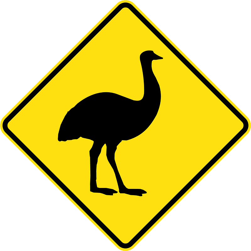 (W5-45) Emus
