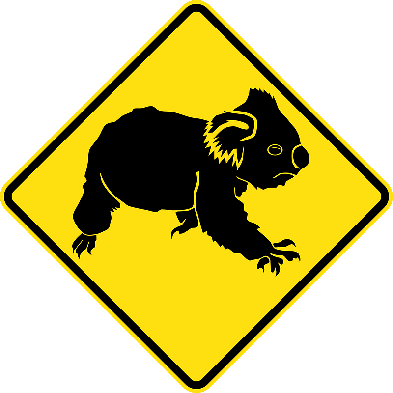 (W5-47) Koalas
