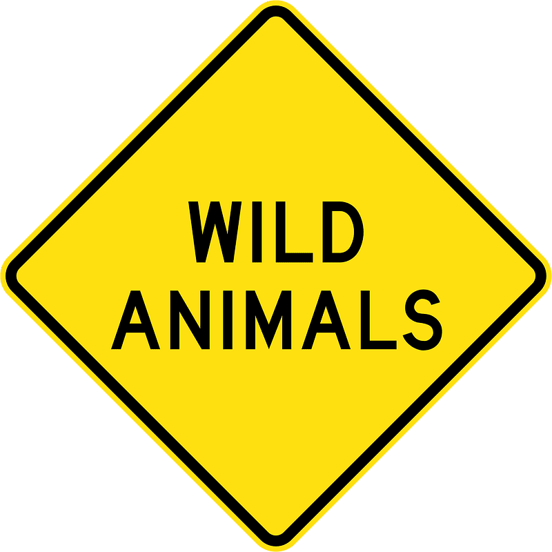 (W5-49) Wild Animals