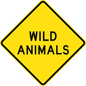 (W5-49) Wild Animals