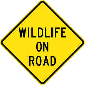 (W5-SA106) Wildlife on Road (Used in South Australia)