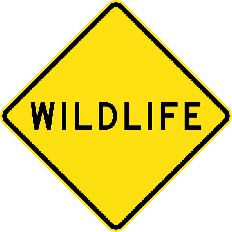 (W5-SA112) Wildlife (Used in South Australia)