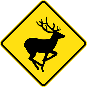 (W5-V134) Deer (Used in Victoria)