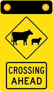 (W5-V131) Stock Crossing Ahead (Used in Victoria)