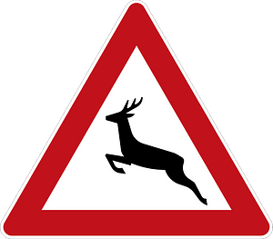 Wild animals