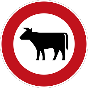 No Cattle Permitted