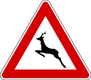 Wild animals