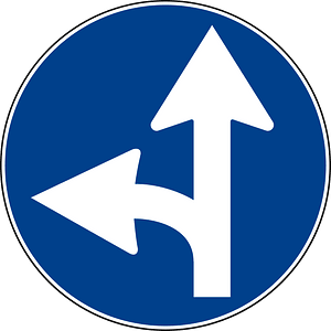 Drive straight or turn left