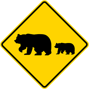 Bear crossing (California)