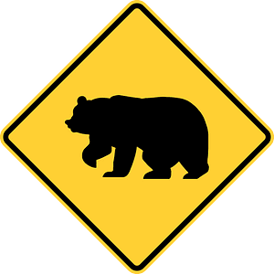 Bear crossing