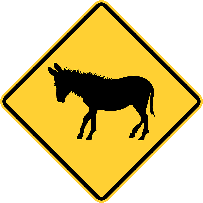 Donkey crossing