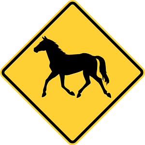 Wild horse crossing