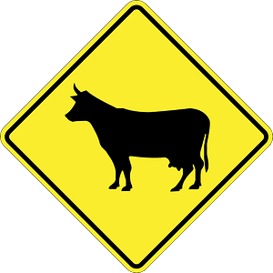 Domestic animals sign in Argentina