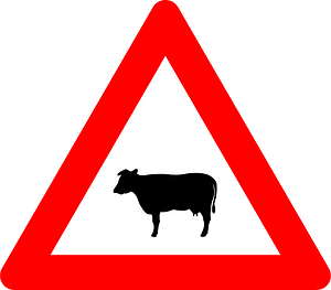 Domestic animals sign in Belgium