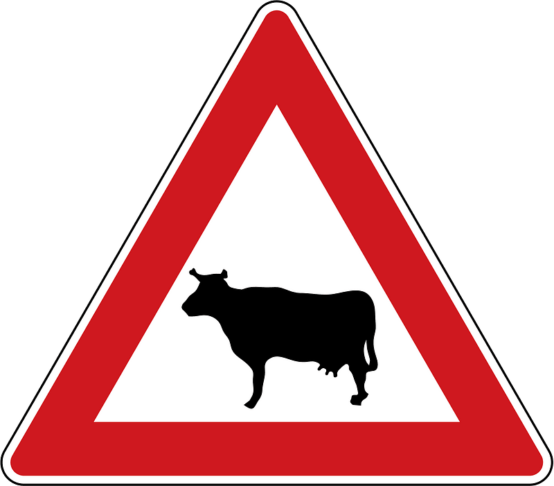Domestic animals sign in Czech Republic