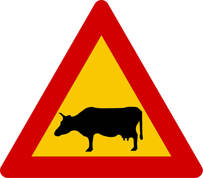 Domestic animals sign in Iceland