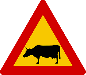 Domestic animals sign in Iceland