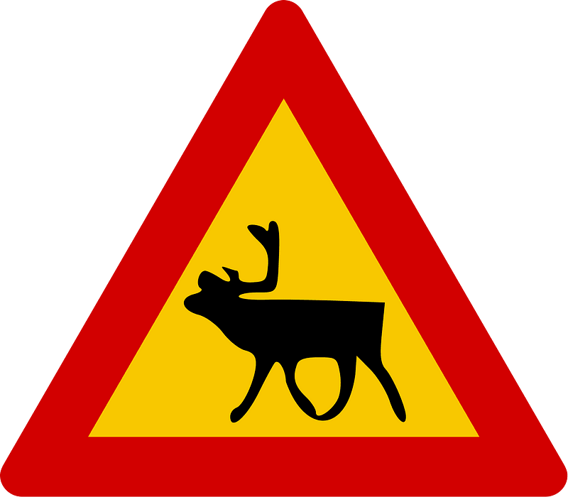 Wild animals sign in Iceland