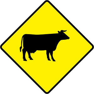 Domestic animals sign in Ireland