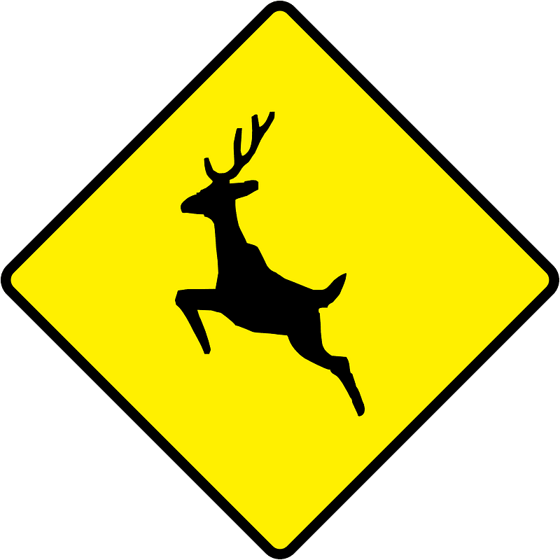 Wild animals sign in Ireland
