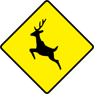Wild animals sign in Ireland