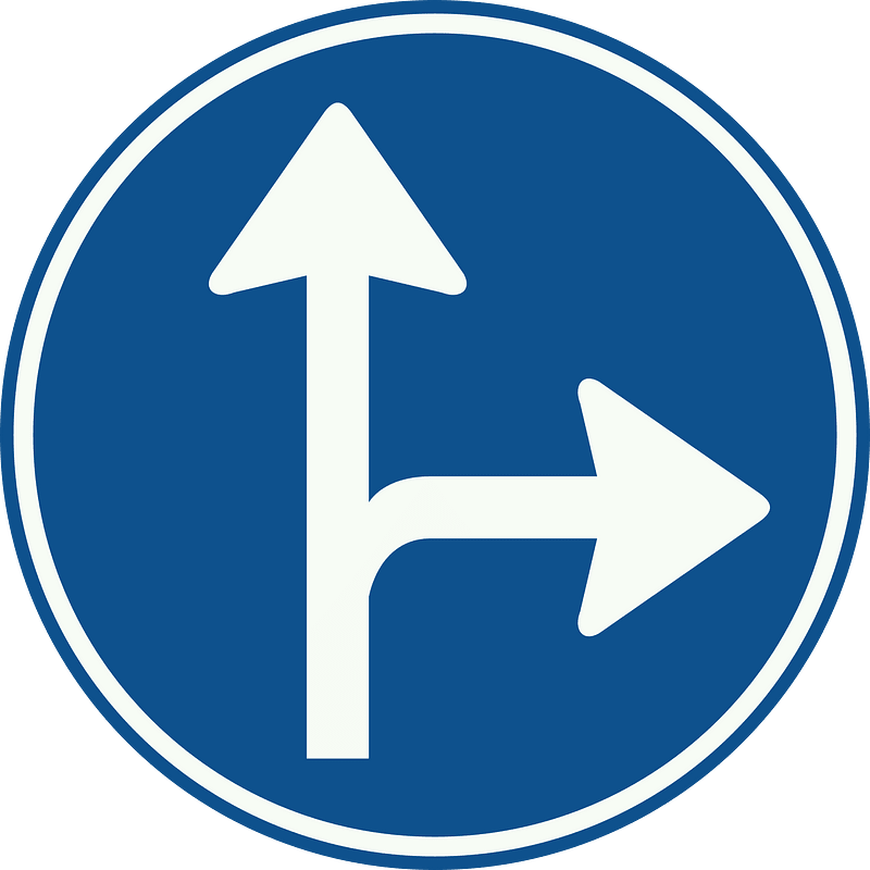 Proceed straight or turn right only sign in Netherlands - Free vector ...