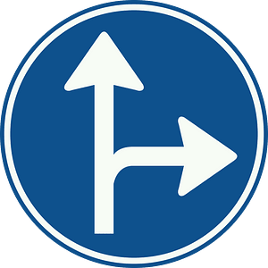 Proceed straight or turn right only sign in Netherlands