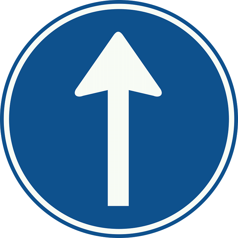 Straight ahead only sign in Netherlands