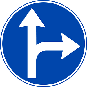 Proceed straight or turn right only sign in Norway