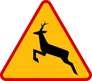 Wild animals sign in Poland